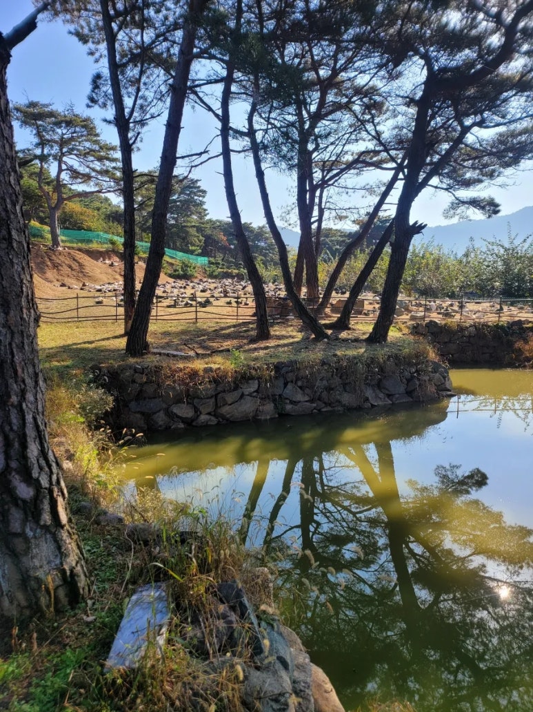 덕룡농장 사진 3